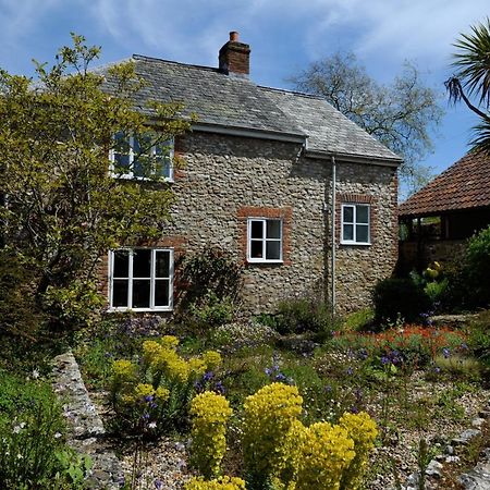 Trill Cottage Musbury Extérieur photo