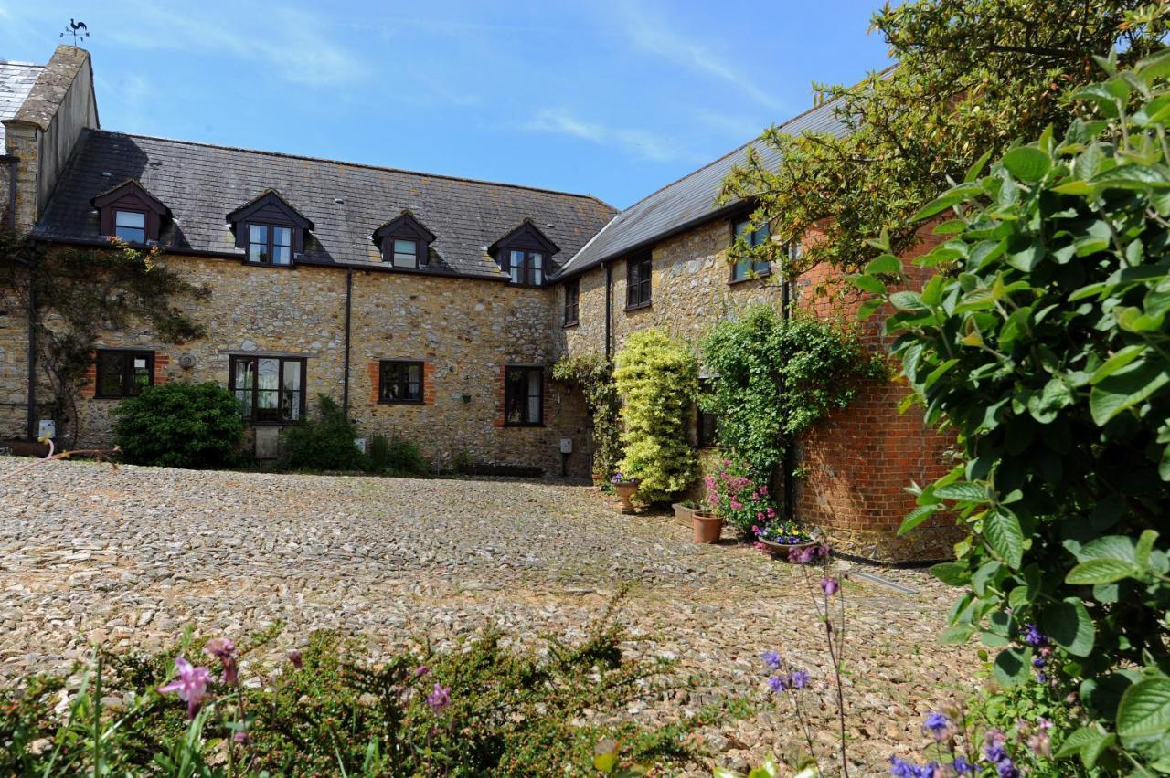 Trill Cottage Musbury Extérieur photo