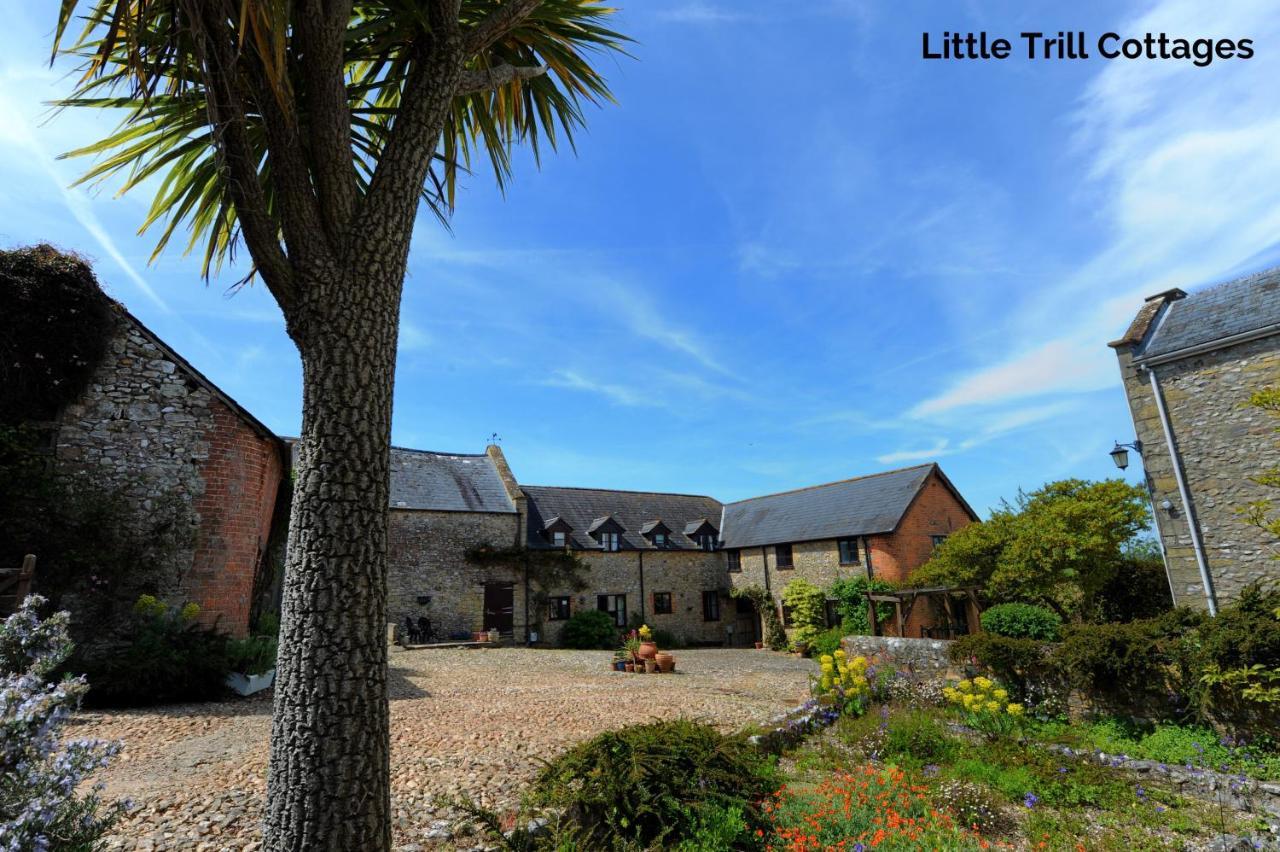 Trill Cottage Musbury Extérieur photo