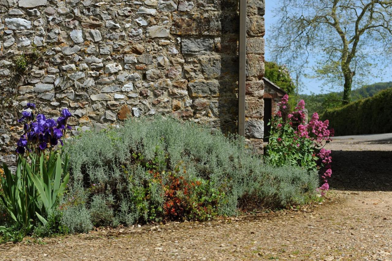 Trill Cottage Musbury Extérieur photo